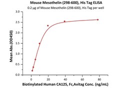 ACROBiosystems Mouse Mesothelin / MSLN (298-600) Protein, His Tag (MALS