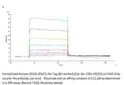 ACROBiosystems Recombinant Protein;Human Fc gamma RIIA / CD32a (R167) Protein