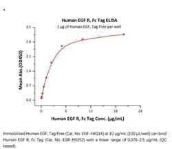 ACROBiosystems Recombinant Protein;Human EGF R Protein, Fc Tag;HEK293;100UG;EGR,EGFR,EGF
