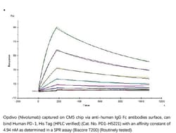 ACROBiosystems Recombinant Protein;Human PD-1 / PDCD1 Protein (HPLC-verified);HEK293;100UG;PD1,PDCD1,PD1,CD279,SLEB2,PDCD-1,PD-1,SLEB-2,