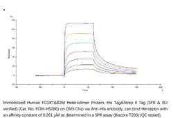 ACROBiosystems Recombinant Protein;Human FcRn / FCGRT HEK293;50UG;FCM,FcRN,FCGRT
