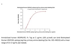 ACROBiosystems Recombinant Protein;Biotinylated Human VEGF165, epitope