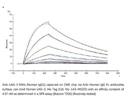 ACROBiosystems Recombinant Protein;Human LAG-3 / CD223 Protein;HEK293;100UG;LA3,LAG3,CD223,LAG-3,FDC,