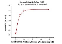 ACROBiosystems Human NCAM-1 / CD56 Protein, Fc Tag (MALS verified), Quantity: