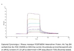 ACROBiosystems FCGRT&B2M HETERODIMER PROTEIN, Quantity: Each of 1