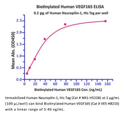 ACROBiosystems ACROBiosystems Human Neuropilin-1 / NRP1 / CD304 Protein,