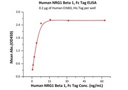 ACROBiosystems Human NRG1 Beta 1 Protein, Fc Tag, Quantity: Each of 1