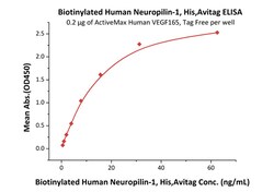 ACROBiosystems Recombinant Protein;Biotinylated Human Neuropilin-1 / NRP1