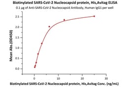 ACROBiosystems Biotinylated SARS-CoV-2 (COVID-19) Nucleocapsid protein,