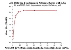 ACROBiosystems Anti-SARS-CoV-2 Nucleocapsid Antibody, Human IgG1, Quantity: