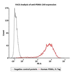 ACROBiosystems Human PSMA / FOLH1 Protein, Fc Tag, Quantity: Each of 1