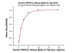 ACROBiosystems Human TNFSF11 / RANKL / CD254 Protein, Mouse IgG2a Fc Tag,
