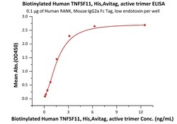 ACROBiosystems Biotinylated Human TNFSF11 / RANKL / CD254 Protein, His,Avitag