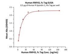 ACROBiosystems Human RNF43 Protein, Fc Tag, Quantity: Each of 1