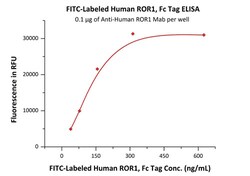 ACROBiosystems FITC-Labeled Human ROR1 Protein, Fc Tag, Quantity: Each