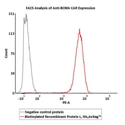 ACROBiosystems Biotinylated Recombinant Protein L Protein, His,Avitag (MALS