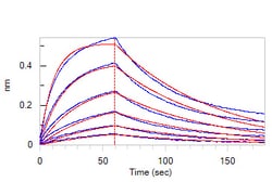 ACROBiosystems SARS-CoV-2 (COVID-19) S1 protein (D614G), His Tag, Quantity: