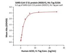 ACROBiosystems SARS-CoV-2 (COVID-19) S1 protein (N501Y), His Tag, Quantity: