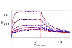 ACROBiosystems ACROBiosystems Biotinylated Human Siglec-15 / CD33L3 Protein,