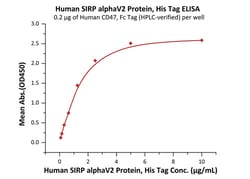 ACROBiosystems Human SIRP alphaV2 / CD172a Protein, His Tag, Quantity: