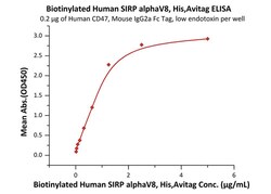 ACROBiosystems Biotinylated Human SIRP alphaV8 / CD172a Protein, His,Avitag,