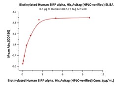 ACROBiosystems ACROBiosystems Biotinylated Human SIRP alpha / CD172a Protein,