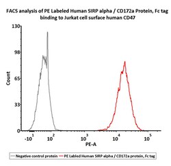 ACROBiosystems ACROBiosystems PE-Labeled Human SIRP alpha / CD172a Protein,