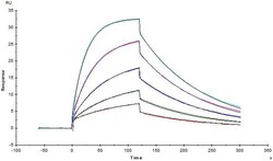 ACROBiosystems 100UG 2019-NCOV COVID-19 S P, Quantity: Each of 1