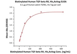 ACROBiosystems Biotinylated Human TGF-beta RII / TGFBR2 Protein, His,Avitag,