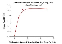 ACROBiosystems BIO HU TNF-ALPHA AVI TAG 25UG, Quantity: Each of 1