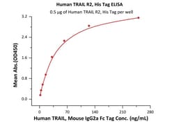 ACROBiosystems Recombinant Protein;Human TRAIL R2 / DR5 / TNFRSF10B Protein;HEK293;100UG;TR2,TNFRSF10B,TRAILR2,TRAIL-R2,CD262,DR5,DR-5,KILLER,TRICK2,ZTNFR9,TRICK2A,TRICK2B,TRICKB,TRICK-2,