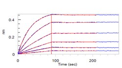 ACROBiosystems Recombinant Protein;Human TRAIL R2 / DR5 / TNFRSF10B Protein,