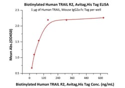 ACROBiosystems Recombinant Protein;Biotinylated Human TRAIL R2 / DR5 /