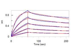 ACROBiosystems Biotinylated Human TREM2 Protein, His,Avitag, Quantity: