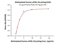 ACROBiosystems Biotinylated Human uPAR / PLAUR Protein, His,Avitag, Quantity:
