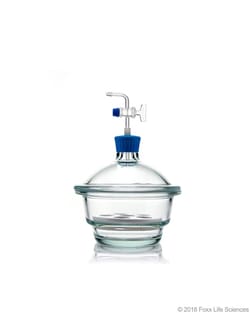 Foxx Life Sciences Borosil Glass Vacuum Desiccator with Porcelain Plate