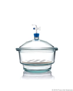 Foxx Life Sciences Borosil Glass Vacuum Desiccator with Porcelain Plate