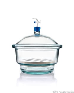 Foxx Life Sciences Borosil Glass Vacuum Desiccator with Porcelain Plate