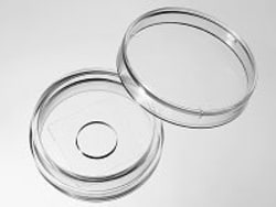 Cellvis 29 mm Glass bottom dish with 10 mm micro-well #0 cover glass, Quantity: