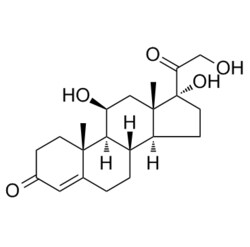 Medchemexpress LLC HY-N0583 5g , Hydrocortisone Cortisol CAS:50-23-7 Purity:98%,
