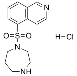 Medchemexpress LLC&nbsp;HY-10341 500mg , Fasudil (Hydrochloride) HA-1077;AT-877;Fasudil HCl CAS:105628-07-7 Purity:98%