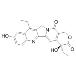 Medchemexpress LLC HY-13704 500mg , SN-38 NK012 CAS:86639-52-3 Purity:98%