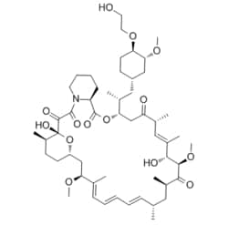 Medchemexpress LLC Everolimus | 159351-69-6 | MFCD00929329 | 100mg, Quantity: