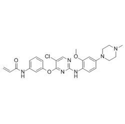 Medchemexpress LLC HY-12026 100mg , WZ4002 CAS:1213269-23-8 Purity:98%,