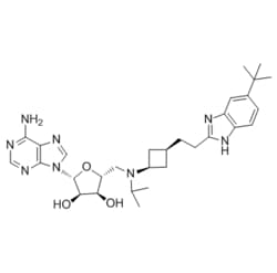 Medchemexpress LLC HY-15593 50mg , EPZ-5676 Pinometostat CAS:1380288-87-8