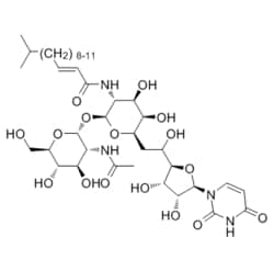 Medchemexpress LLC HY-A0098 5mg , Tunicamycin CAS:11089-65-9 Purity:98%,