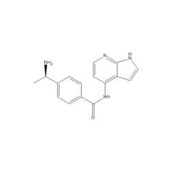 Medchemexpress LLC HY-10067 10mg Medchemexpress, Y-33075 CAS:199433-58-4