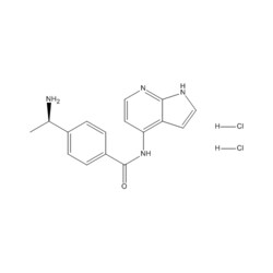 Medchemexpress LLC HY-10069 10mg Medchemexpress, Y-33075 (dihydrochloride)