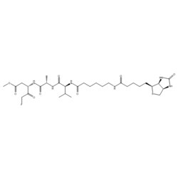 Medchemexpress LLC HY-100894 1mg Medchemexpress, Biotin-VAD-FMK CAS:1135688-15-1