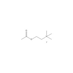 Medchemexpress LLC HY-101086 100mg Medchemexpress, Acetylcholine (iodide)